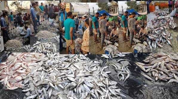 Ramnagar Fish Market Hyderabad: Location, Connectivity, Nearby Areas